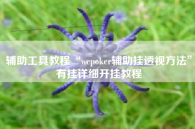 辅助工具教程“wepoker辅助挂透视方法”有挂详细开挂教程