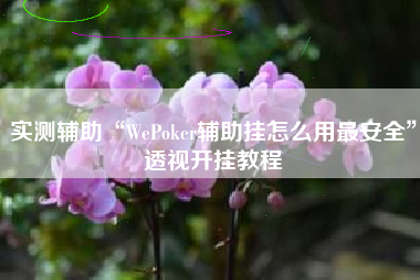 实测辅助“WePoker辅助挂怎么用最安全”透视开挂教程