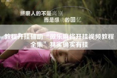 教程开挂辅助“微乐麻将开挂视频教程全集	”其实确实有挂