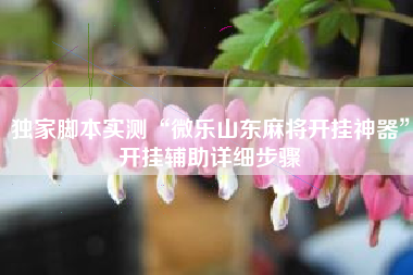 独家脚本实测“微乐山东麻将开挂神器”开挂辅助详细步骤