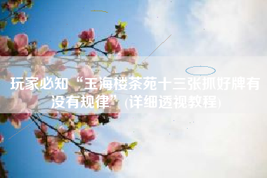 玩家必知“玉海楼茶苑十三张抓好牌有没有规律	”(详细透视教程)