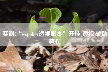 实测!“wepoker透视脚本”开挂(透视)辅助教程