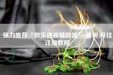 强力推荐“微乐透视辅助器”(透视)开挂详细教程