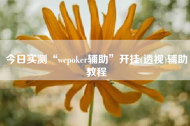 今日实测“wepoker辅助	”开挂(透视)辅助教程