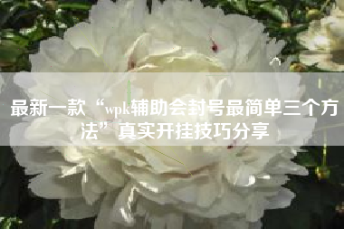 最新一款“wpk辅助会封号最简单三个方法”真实开挂技巧分享
