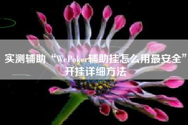 实测辅助“WePoker辅助挂怎么用最安全”开挂详细方法