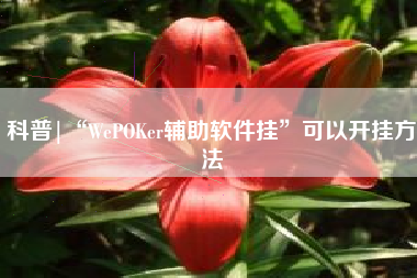 科普|“WePOKer辅助软件挂”可以开挂方法