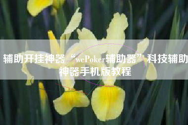 辅助开挂神器“wePoker辅助器”科技辅助神器手机版教程