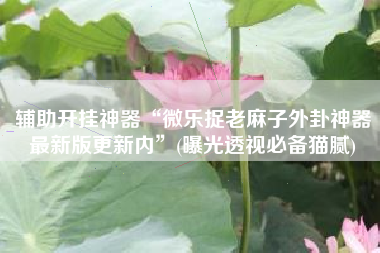 辅助开挂神器“微乐捉老麻子外卦神器最新版更新内	”(曝光透视必备猫腻)