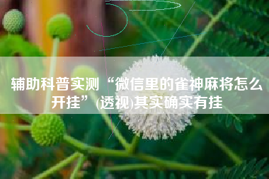 辅助科普实测“微信里的雀神麻将怎么开挂	”(透视)其实确实有挂