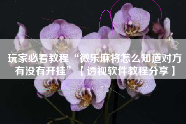 玩家必看教程“微乐麻将怎么知道对方有没有开挂	”【透视软件教程分享】