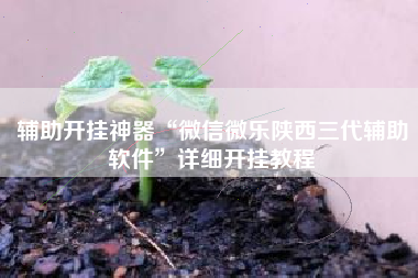 辅助开挂神器“微信微乐陕西三代辅助软件”详细开挂教程