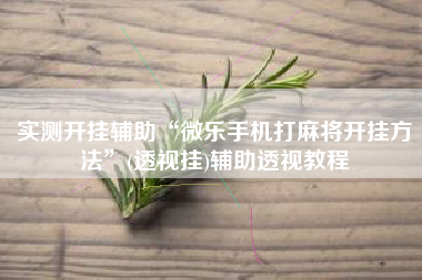 实测开挂辅助“微乐手机打麻将开挂方法”(透视挂)辅助透视教程