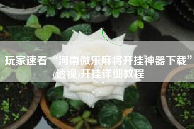 玩家速看“河南微乐麻将开挂神器下载	”(透视)开挂详细教程