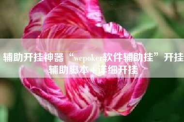辅助开挂神器“wepoker软件辅助挂”开挂辅助脚本+详细开挂