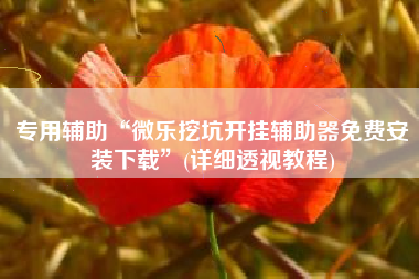 专用辅助“微乐挖坑开挂辅助器免费安装下载	”(详细透视教程)