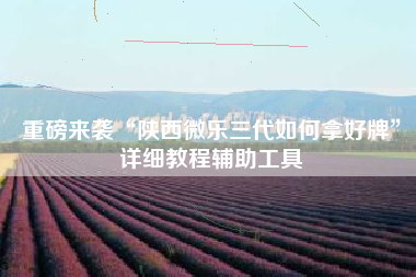 重磅来袭“陕西微乐三代如何拿好牌”详细教程辅助工具