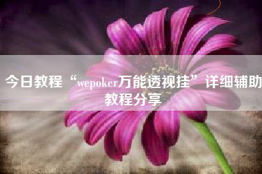 今日教程“wepoker万能透视挂”详细辅助教程分享
