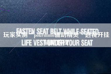 玩家实测“pokemmo辅助精灵	”透视开挂辅助教程