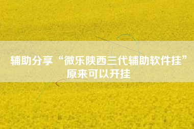 辅助分享“微乐陕西三代辅助软件挂	”原来可以开挂