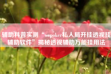 辅助科普实测“wepoker私人局开挂透视挂辅助软件	”揭秘透视辅助万能挂用法