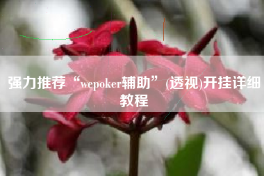 强力推荐“wepoker辅助”(透视)开挂详细教程