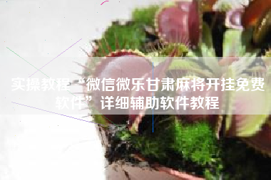 实操教程“微信微乐甘肃麻将开挂免费软件	”详细辅助软件教程