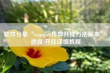 软件分享“wepoker作弊开挂方法原来”(透视)开挂详细教程