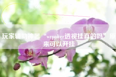 玩家辅助神器“wrpoker透视挂真的吗”原来可以开挂