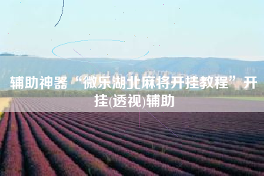 辅助神器“微乐湖北麻将开挂教程”开挂(透视)辅助