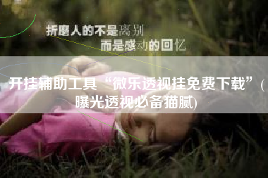 开挂辅助工具“微乐透视挂免费下载	”(曝光透视必备猫腻)