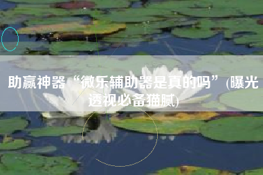 助赢神器“微乐辅助器是真的吗”(曝光透视必备猫腻)