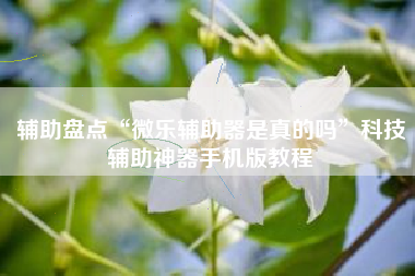 辅助盘点“微乐辅助器是真的吗	”科技辅助神器手机版教程