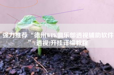 强力推荐“德州WPK俱乐部透视辅助软件”(透视)开挂详细教程