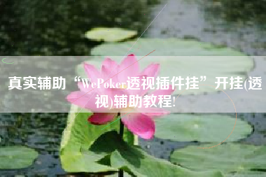 真实辅助“WePoker透视插件挂”开挂(透视)辅助教程!