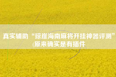 真实辅助“琼崖海南麻将开挂神器评测”(原来确实是有插件