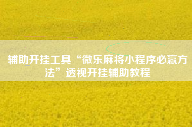 辅助开挂工具“微乐麻将小程序必赢方法	”透视开挂辅助教程
