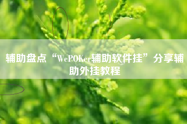 辅助盘点“WePOKer辅助软件挂”分享辅助外挂教程