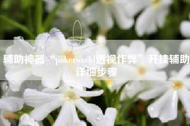 辅助神器“pokerworld透视作弊	”开挂辅助详细步骤