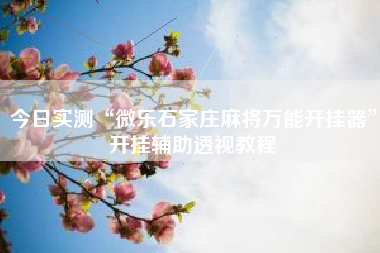 今日实测“微乐石家庄麻将万能开挂器”开挂辅助透视教程