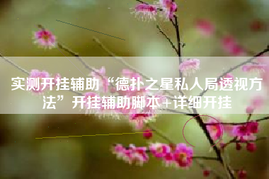 实测开挂辅助“德扑之星私人局透视方法	”开挂辅助脚本+详细开挂