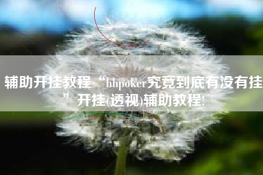 辅助开挂教程“hhpoker究竟到底有没有挂”开挂(透视)辅助教程!