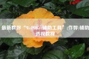 最新教你“WePOKer辅助工具”(作弊)辅助透视教程