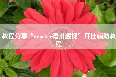 教程分享“wepoker德州透视	”开挂辅助教程