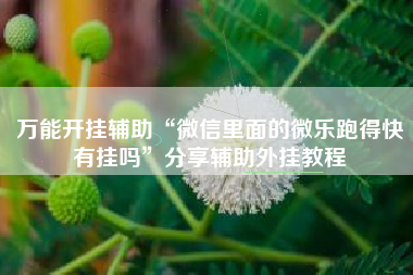 万能开挂辅助“微信里面的微乐跑得快有挂吗”分享辅助外挂教程