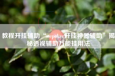 教程开挂辅助“wepoker开挂神器辅助	”揭秘透视辅助万能挂用法