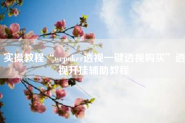 实操教程“wepoker透视一键透视购买”透视开挂辅助教程