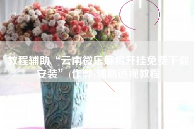 教程辅助“云南微乐麻将开挂免费下载安装”(作弊)辅助透视教程