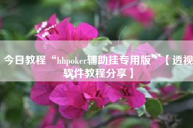 今日教程“hhpoker辅助挂专用版	”【透视软件教程分享】