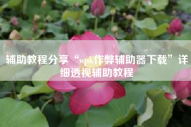 辅助教程分享“wpk作弊辅助器下载”详细透视辅助教程